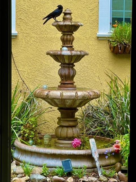 Glen Ellen Inn Secret Cottages Eksteriør bilde